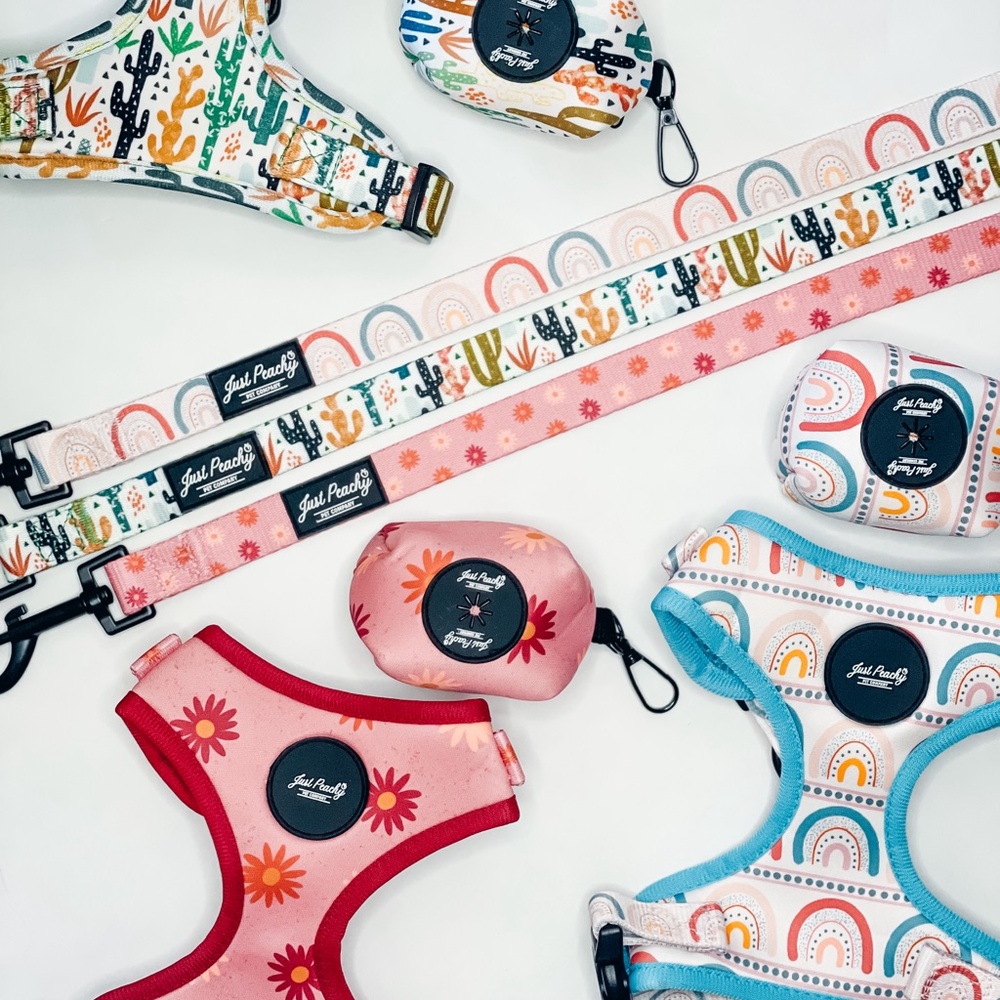 Set of THREE dog HARNESS